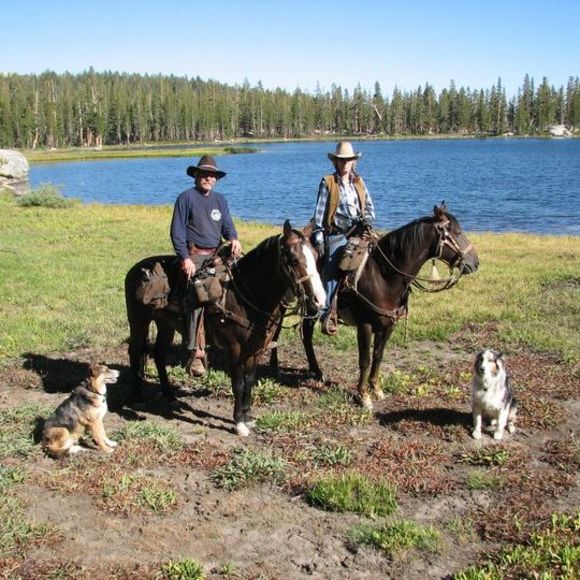 Meet your Posher, Kevin - Picture 1 of 1